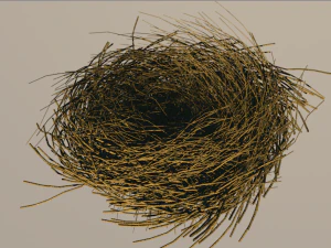 bird nest 3D Model