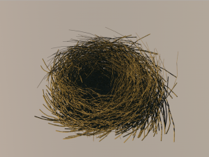 bird nest 3D 모델