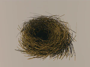 bird nest 3D Model