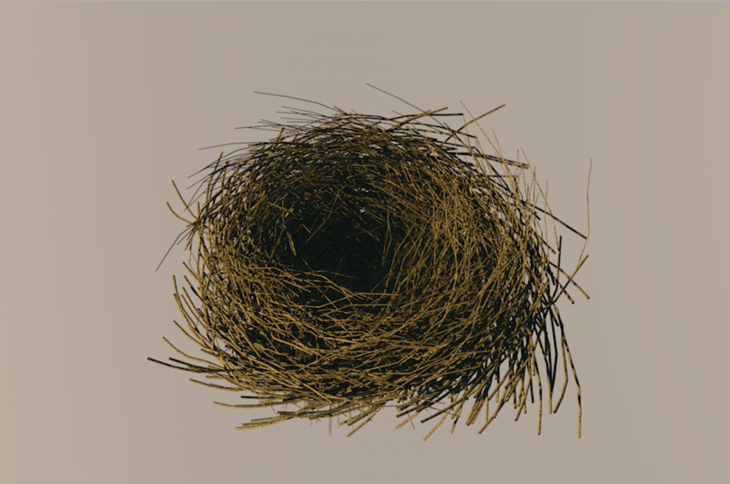 African bird nest : 9 327 images, photos de stock, objets 3D et images  vectorielles