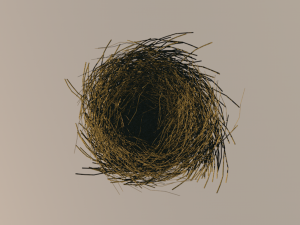 bird nest 3D 모델
