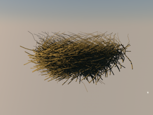 bird nest 3D 모델
