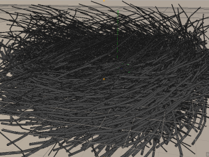 bird nest 3D 모델