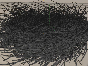 bird nest 3D Model