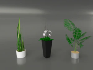 living room 3D Model