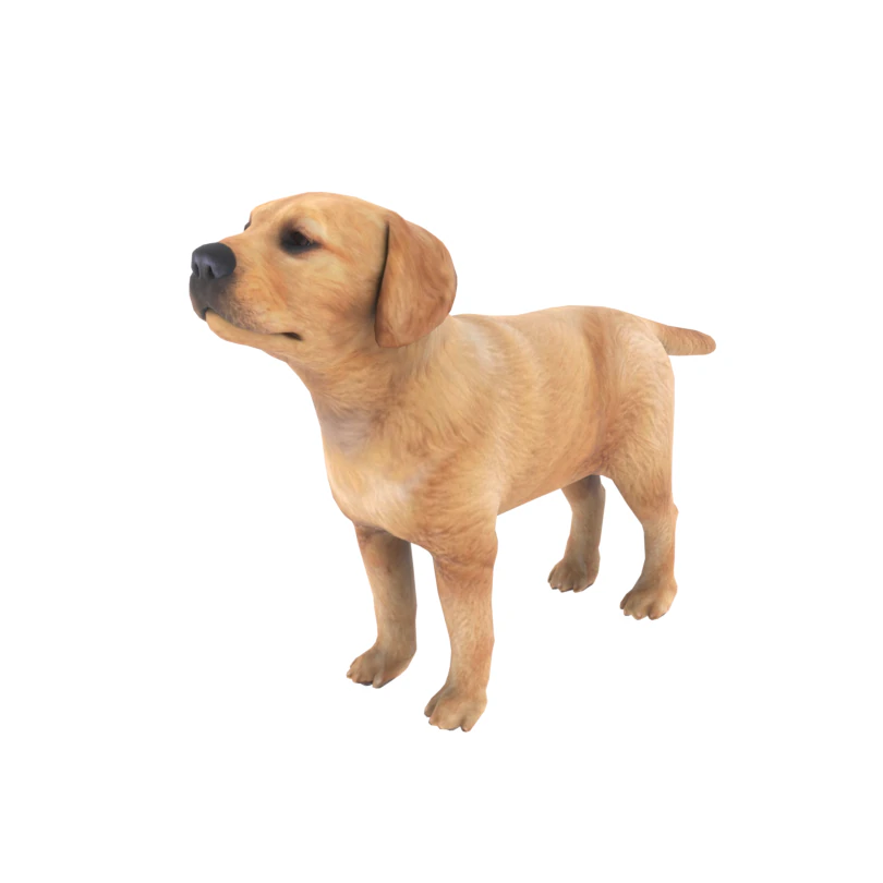 low poly dog 3D Model .c4d .max .obj .3ds .fbx .stl .blend 