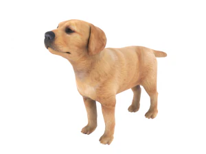 low poly dog 3D Model