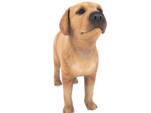 low poly dog 3D Model