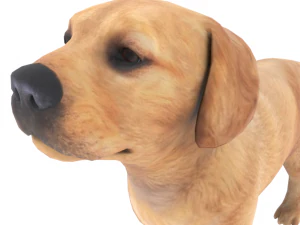 low poly dog 3D Model