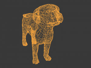 low poly dog 3D मॉडल