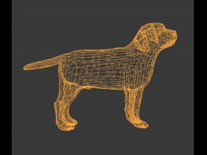 low poly dog 3D मॉडल