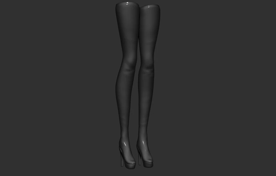 sexy stockings 3D Model .c4d .max .obj .3ds .fbx .stl .blend 
