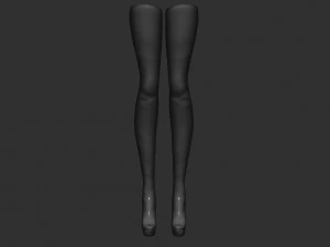 sexy stockings 3D Model