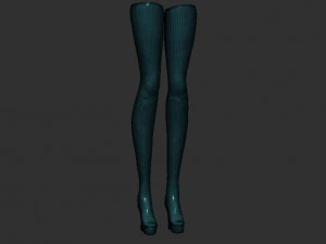 sexy stockings 3D Model