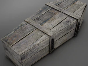 Hd coffin horror old 3D Model