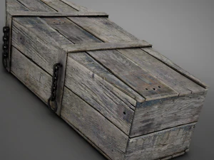 Hd coffin horror old 3D Model