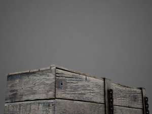 Hd coffin horror old 3D 模型