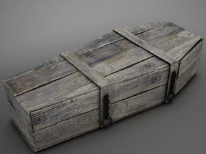 Hd coffin horror old 3D Model