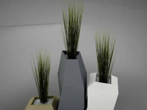 modern plant living 3D Model