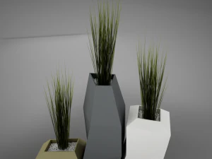 modern plant living 3D Model