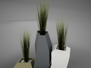 modern plant living 3D Model