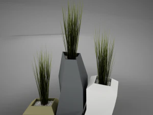 modern plant living 3D Model