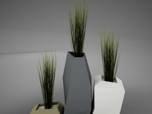 modern plant living 3D Model