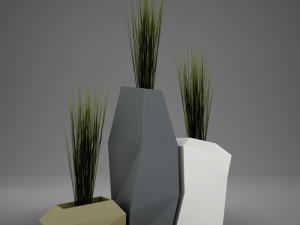 modern plant living 3D Model