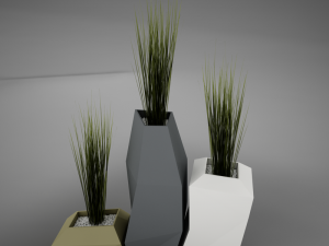 modern plant living 3D Model