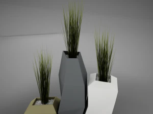 modern plant living 3D Model
