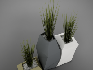 modern plant living 3D Model