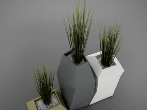 modern plant living 3D Model