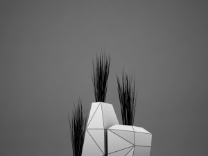 modern plant living 3D Model