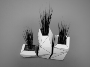 modern plant living 3D Model
