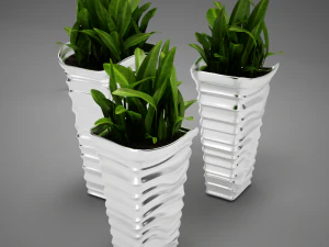 plant living tall 3D Model