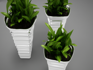 plant living tall 3Dモデル