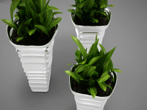 plant living tall 3D Model
