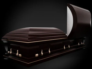 high def classic coffin xl 3D Model