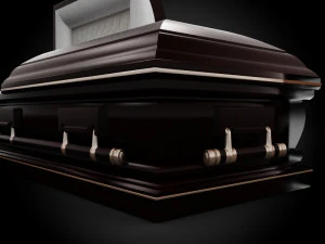 high def classic coffin xl 3D Model