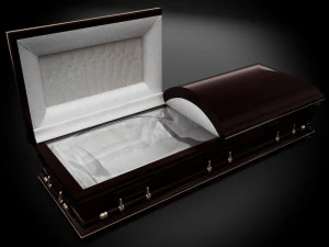 high def classic coffin xl 3D Model