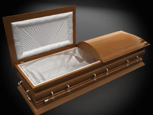 high def classic coffin wood 3D Model