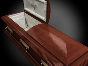 high def classic coffin wood 07 3D Model