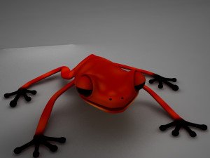 poison arrow frog 3D 모델