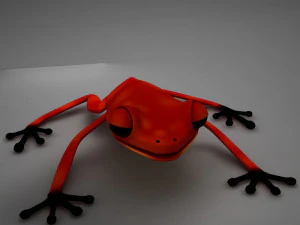 poison arrow frog 3D Model