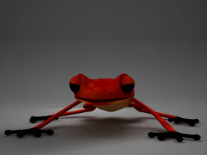 poison arrow frog 3D Model