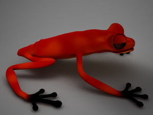 poison arrow frog 3D 모델