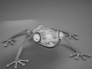 poison arrow frog 3D 모델