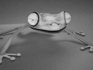 poison arrow frog 3D 모델
