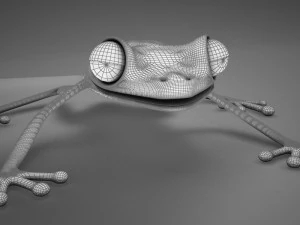 poison arrow frog 3D Model