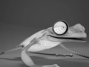 poison arrow frog 3D Model
